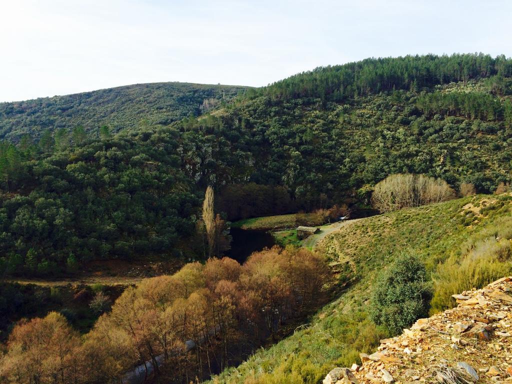 La Primavera Nuez Esterno foto